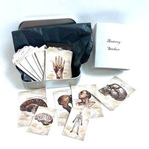 Anatomy Stickers Waterproof with Tin Box